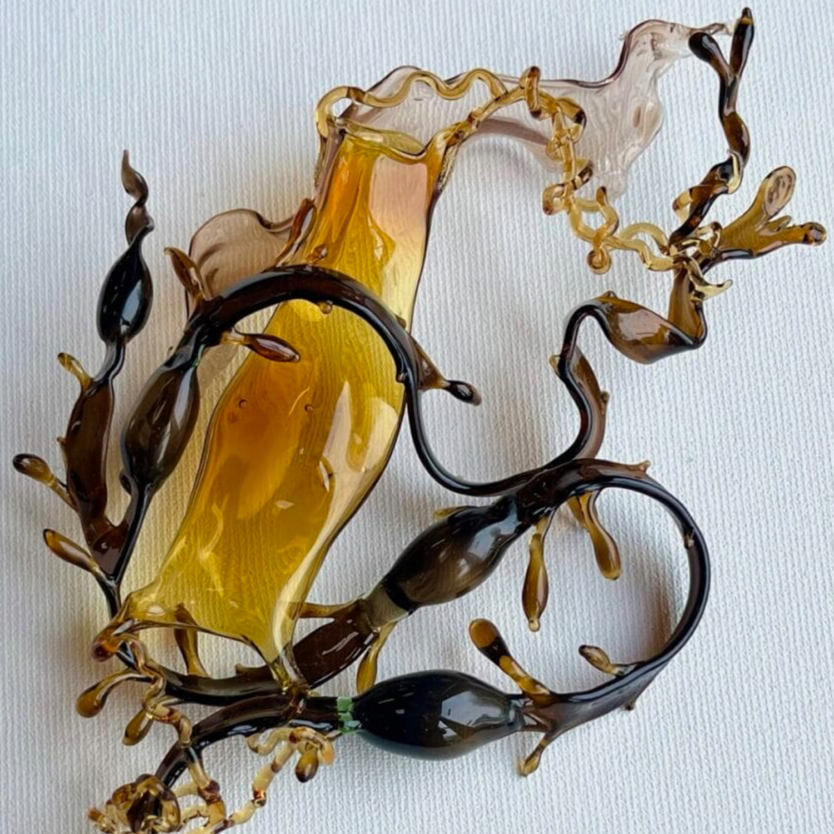 Natural forms - Seaweed by Andrea Spencer